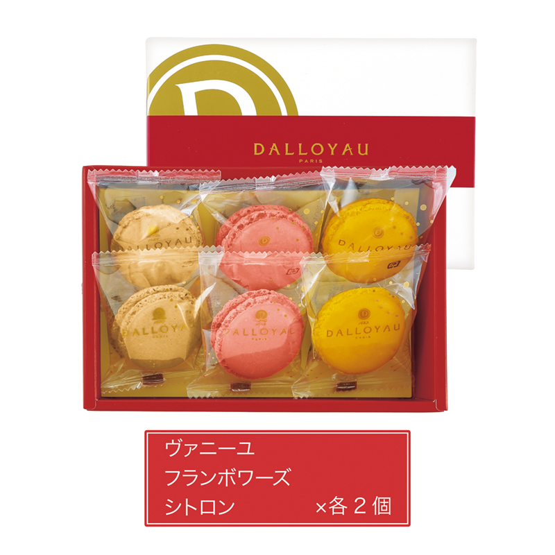 ダロワイヨ プリントマカロン詰め合わせ(6個入)