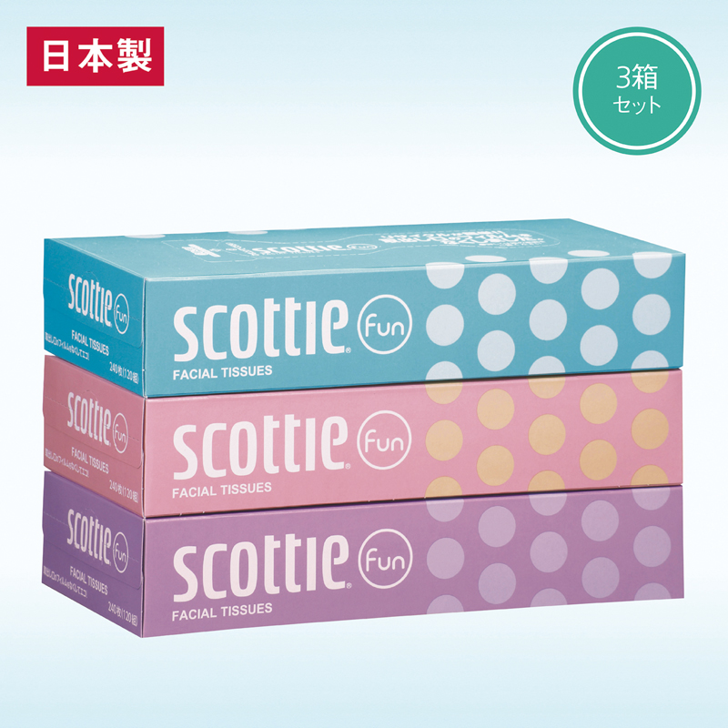 スコッティティシューファン120組3箱パック